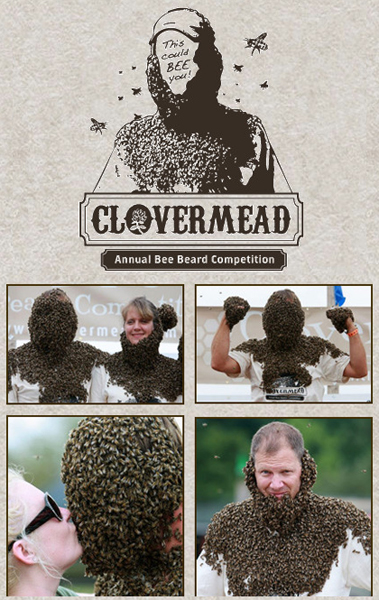 clovermeadbees