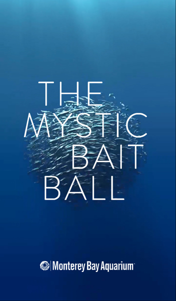 mysticball
